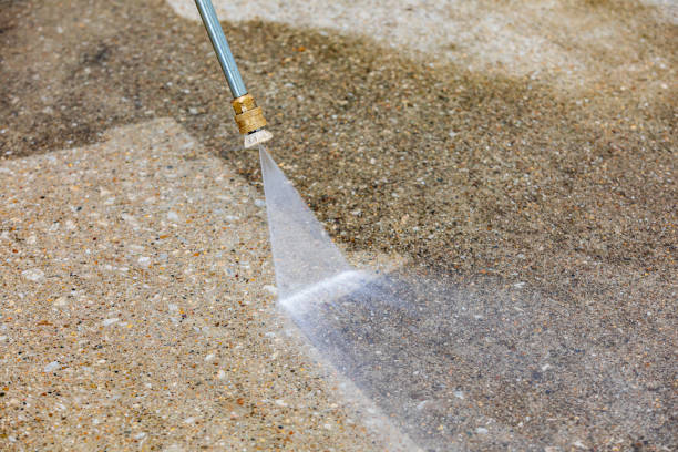 Best Paint Preparation  in Oglesby, IL