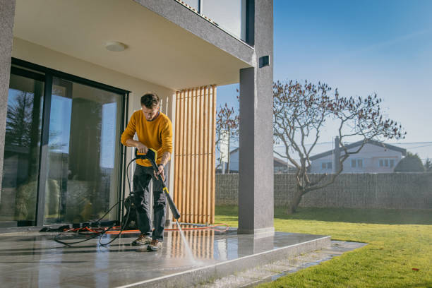 Best Building Exterior Washing  in Oglesby, IL